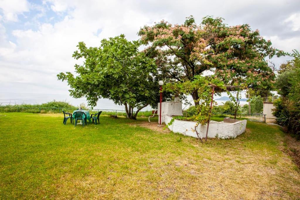 Mola Kaliva Sea View, 100M From The Beach! Luaran gambar